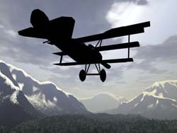 İsviçre'de uçak düştü: 5 ölü