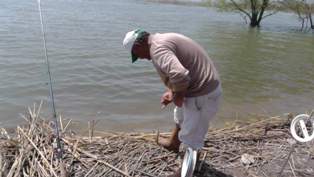 Oltaya gelen sazana av yasağı