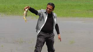 Tarlalarda balık avı