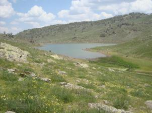 Konya’da 3 bin dönüm 2B arazisi satışa çıktı