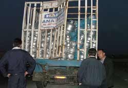 Kulu'da trafik kazası