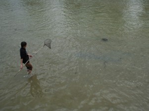 Kanalda balık tuttular