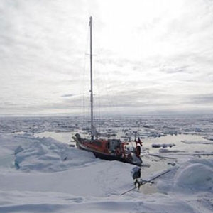 Antarktika’dan bir kıyamet haberi!