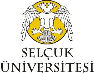 Selçuk’ta festival zamanı
