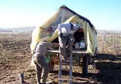 İşçilerin çamurda ekmek mücadelesi..