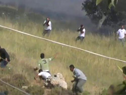 Sivil Araplara böyle silah sıktılar VİDEO