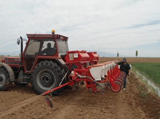 Ereğli'de bitki deseni genişliyor