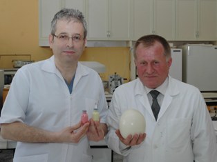 Diş çürükleri artık dert değil