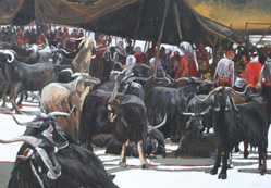 Dağların Yiğidi Yörük Hasan