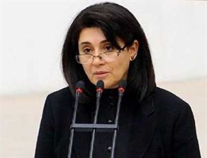 Zana: Erdoğan bu işi çözer