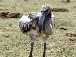 Yağışlar Düden Gölü'ne yaramadı