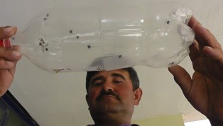 Çobanların kene korkusu