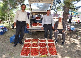 Organik çilek rakip tanımıyor