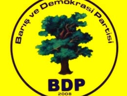 İşte doktor döven BDP'linin cezası