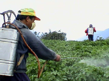 Kırmızı Örümceğe karşı ilaçlama zamanı