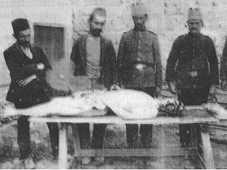 İşkodralı Abdullah Efendi