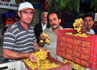 Kiraz üreticisinin keyfini dolu kaçırdı