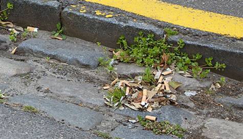 İzmarit atana 50 TL ceza