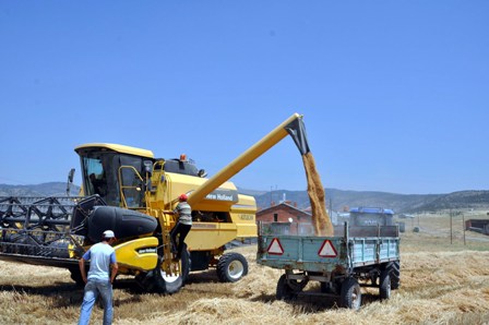 Emirgazi'de hasat dönemi başladı