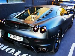 Ferrari deriye büründü