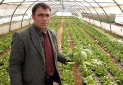 Yeni istihdam kapısı