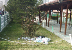 Yeşil alanlar çöplüğe döndü