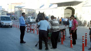 Kaçak at trafiği birbirine kattı