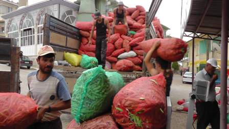 Dondurularak dünyaya ihraç ediliyor