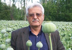 Haşhaşta rekor verim bekleniyor