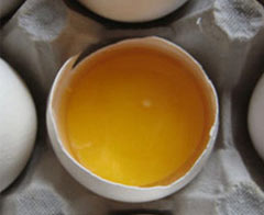 Yumurtanın sarısı ile ilgili kafa karıştıran iddia