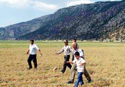 Gembos Ovası'nda çekirge istilası