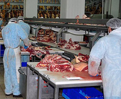 Bozuk et iddialarına EBK'dan yanıt!