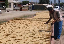 Tarhana nöbeti başladı