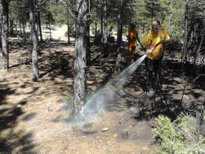 Beyşehir'de orman yangını korkuttu