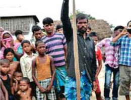 Kobra'yı ısırarak öldürdü