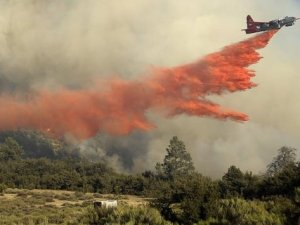 Konya'da orman yangını