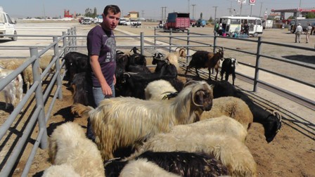 Besiciler satış telaşına girdi