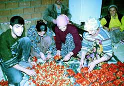 Akşehir, çilekte de iddialı...