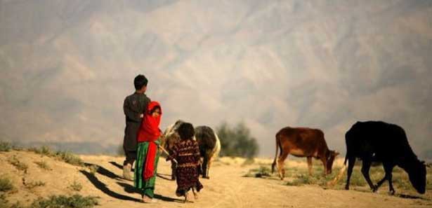 Sivil polis köylülere ateş açtı: 14 ölü