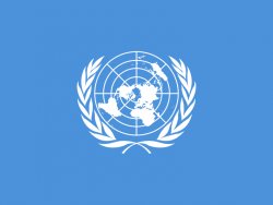 Arap Birliği: BM Suriye'ye müdahale etmeli