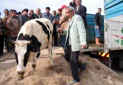 Yoksula "Süt Kartı" verilecek