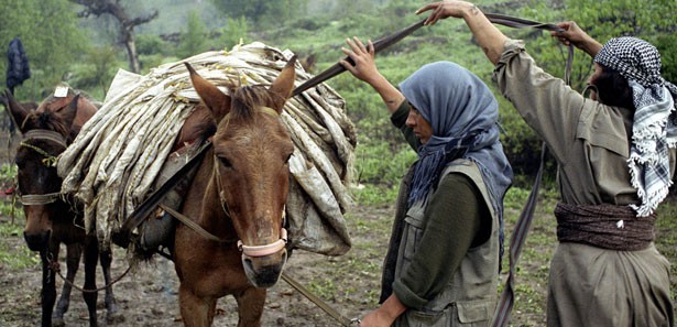 Teslim olan PKK'lıdan şok bilgi