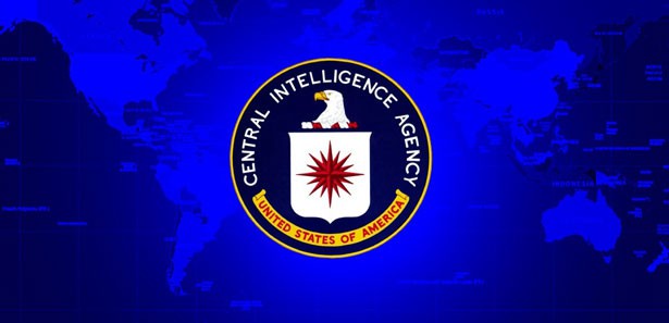 'Türkiye'de 50 üst düzey ajan var'