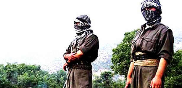 Hakkari'de 123 PKK'lı terörist öldürüldü