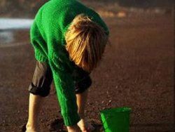 Google Snapseed’i satın aldı