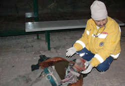 Yaşlı adamı dövüp gasp ettiler
