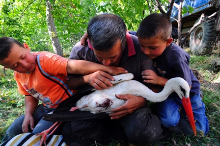 Yaralı leyleğe köylüler sahip çıktı