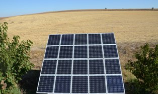 Bu tarlalarda elektrik üretilecek