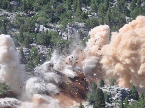 Yol çalışmaları balıkları telef etti