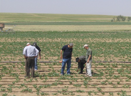 Seydişehir'de anıza ekim başladı